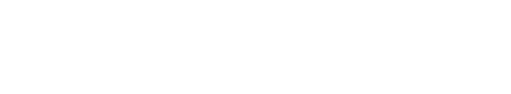 Neo Logo